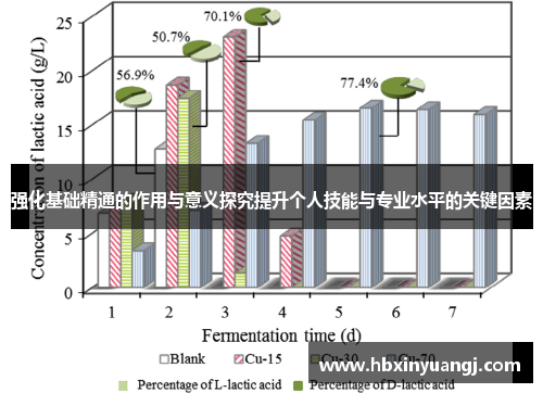 强化基础精通的作用与意义探究提升个人技能与专业水平的关键因素
