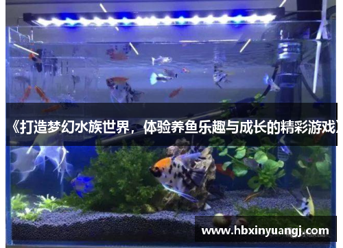 《打造梦幻水族世界，体验养鱼乐趣与成长的精彩游戏》