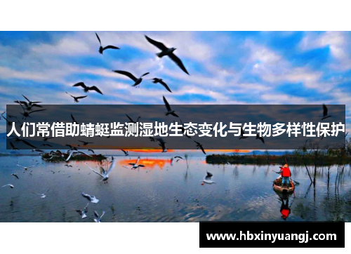 人们常借助蜻蜓监测湿地生态变化与生物多样性保护