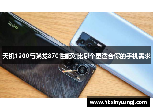 天机1200与骁龙870性能对比哪个更适合你的手机需求
