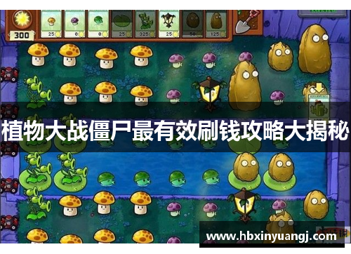 植物大战僵尸最有效刷钱攻略大揭秘
